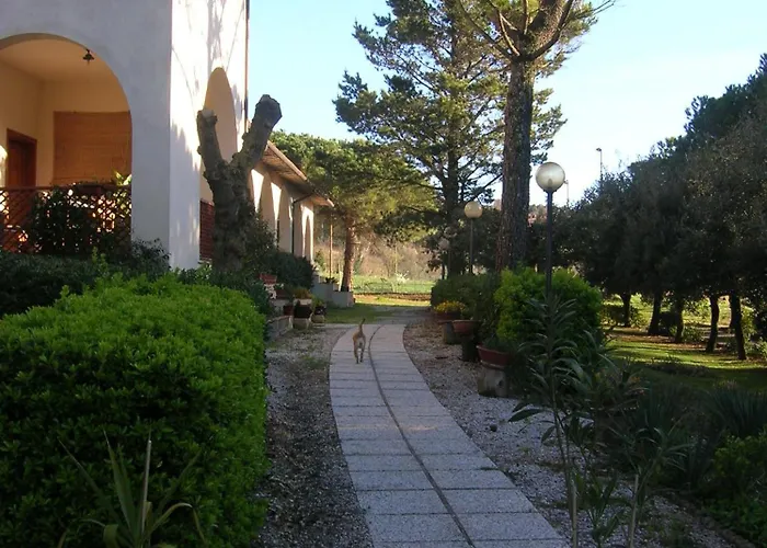 Il Poggetto